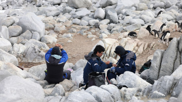 KOPRI biologging of Adelie penguins, Inexpressible Island