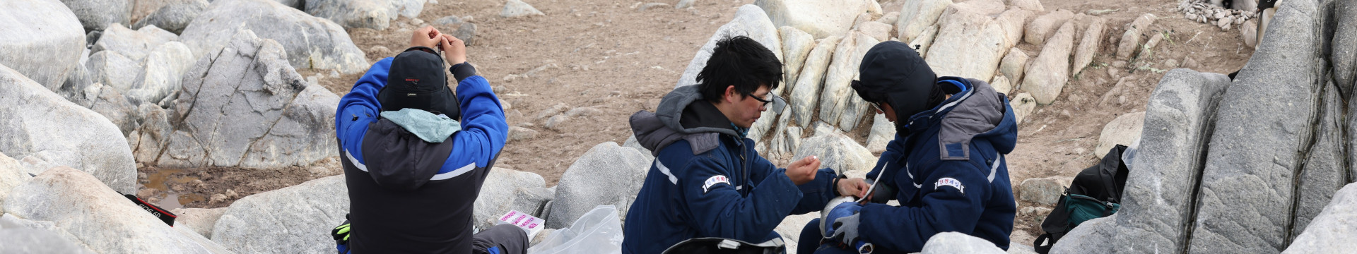 KOPRI biologging of Adelie penguins, Inexpressible Island